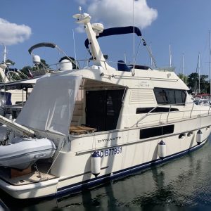 ACM Dynasty 43